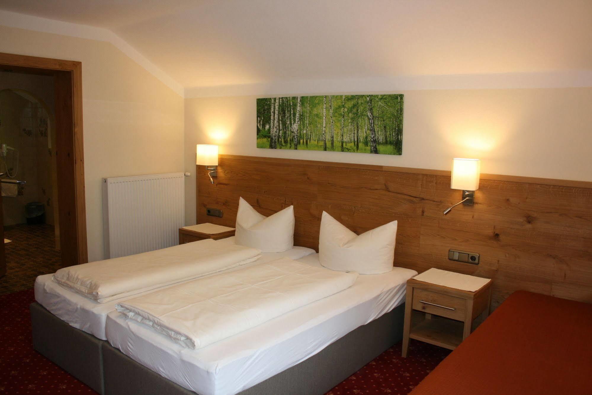 Pension Birkenhof Mayrhofen Exteriör bild
