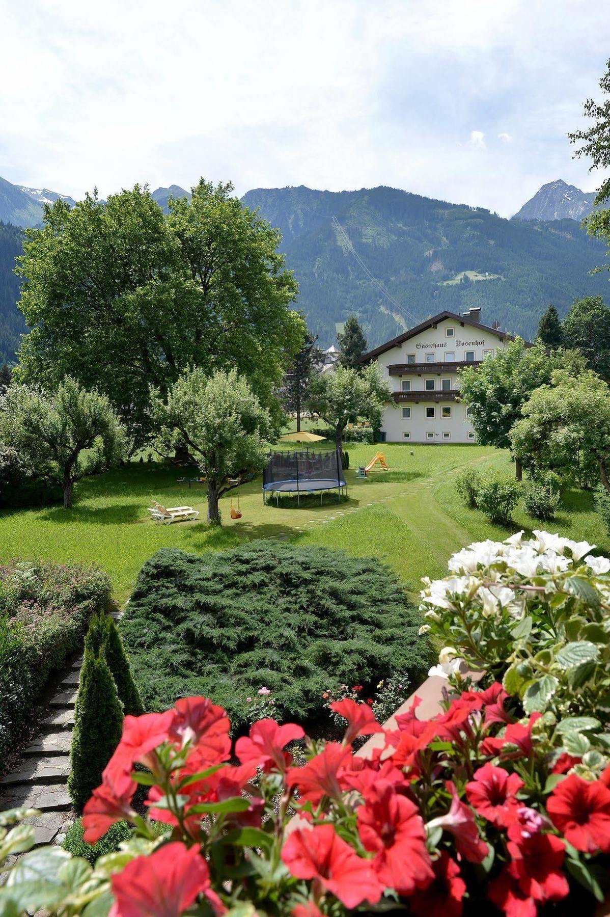 Pension Birkenhof Mayrhofen Exteriör bild